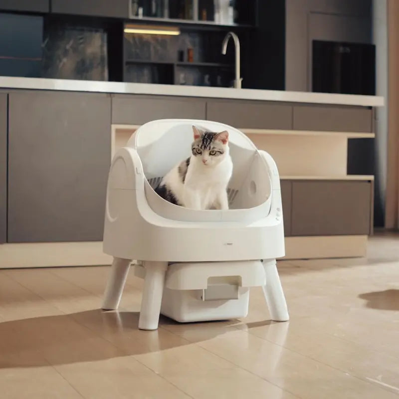 Pawtic Pro 3