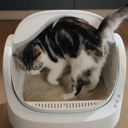 Pawtic Pro 3